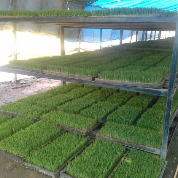 Field laboratory. Field laboratory