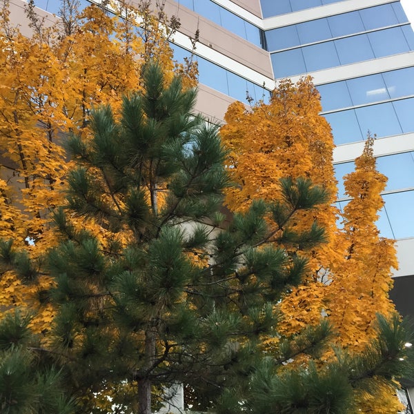 Centennial Lakes Plaza Shopping Mall in Edina