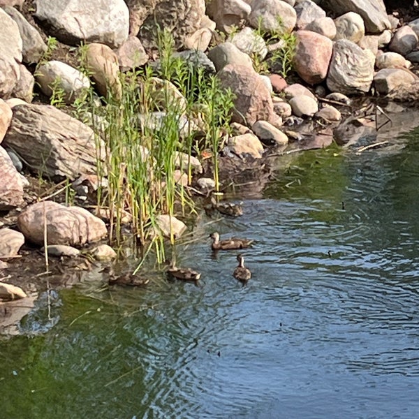 Photo taken at Centennial Lakes Park by Joan F. on 6/18/2024