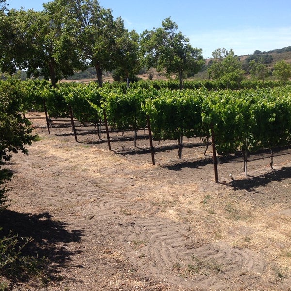 Das Foto wurde bei Foley Estates Vineyard &amp; Winery von Tricia B. am 6/14/2014 aufgenommen