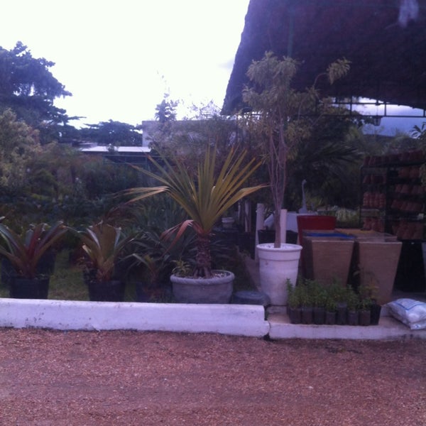 Amazon Garden Center Betânia Avenida Costa e Silva, Crespo