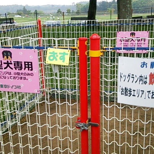 Photos At 東京ドイツ村 わんちゃんランド Dog Run In 袖ケ浦市