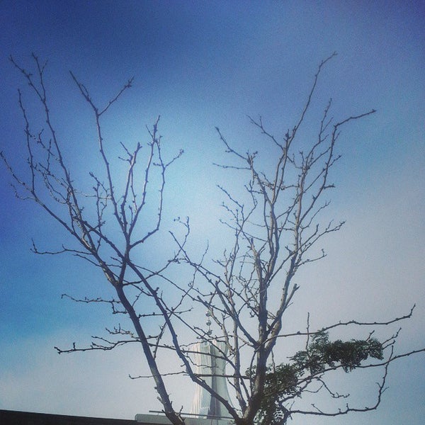 Bank of America Coolidge Corner 1319 Beacon St