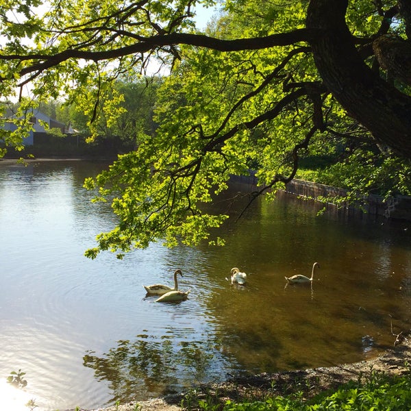 5/15/2016にМышкаがKirov Central Park / Yelagin Islandで撮った写真