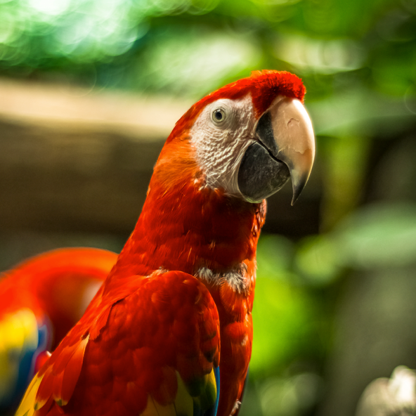 9/27/2013 tarihinde Acuario de Veracruzziyaretçi tarafından Acuario de Veracruz'de çekilen fotoğraf