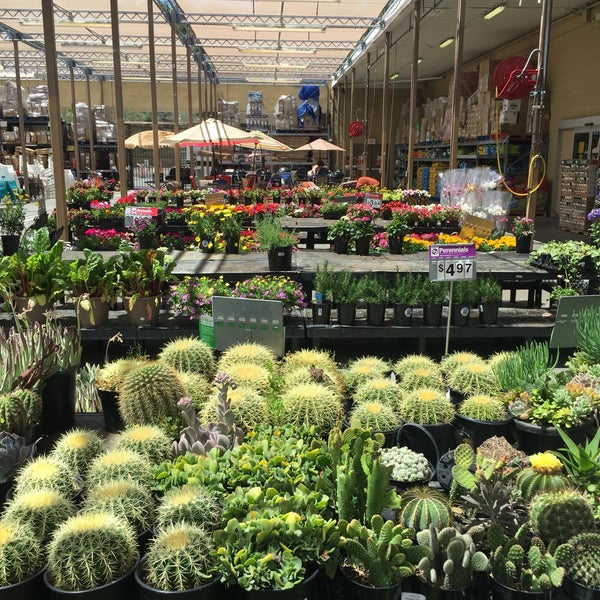 Walmart Garden Center