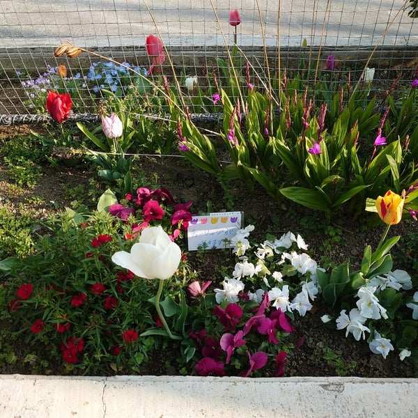 Photos At 川崎市立 今井中学校 Middle School In 川崎市 Photos At 川崎市立 今井中学校 Middle School In 川崎市