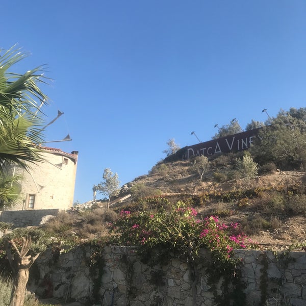 Foto scattata a Datça Vineyard &amp; Winery da Sinan Metin il 10/29/2022