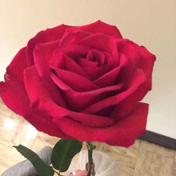 Anna Held Florist & Fountain Cafe Edgewater Beach 5 tips from 82