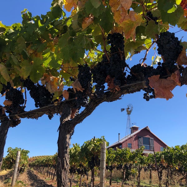 10/6/2019 tarihinde Steven K.ziyaretçi tarafından Artesa Vineyards &amp; Winery'de çekilen fotoğraf