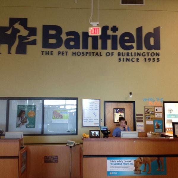 petsmart everett banfield