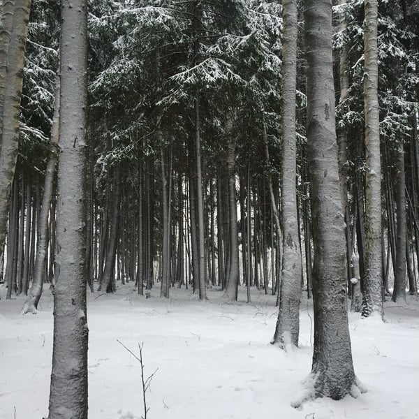 Капральев парк