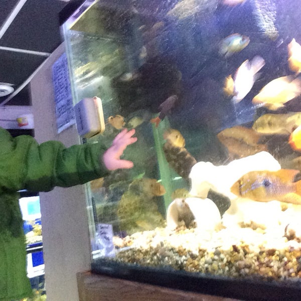 Fish Doctors Ypsilanti, MI