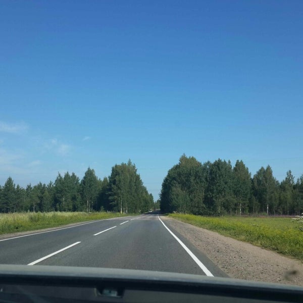 Лужский лес