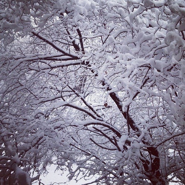 Ashley Stewart Corporate Office Office