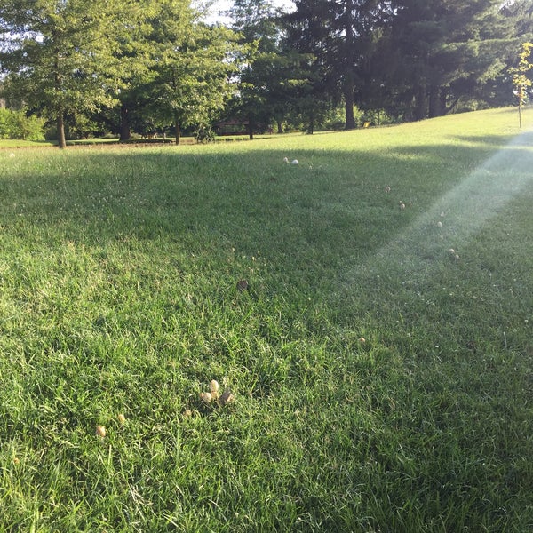 Purcell Park Harrisonburg, VA