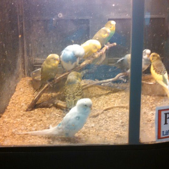 Pratt's Pet Shop El Mirage, AZ