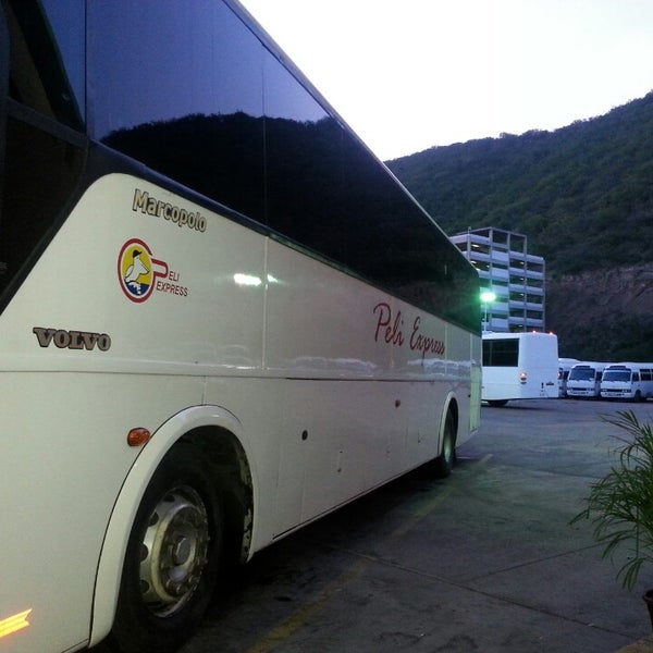 Фламинго орск. Фламинго апатиты. Маршрутка апатиты мурманск фламинго. Экскурсовод автобусная экскурсия. Мурманск апатиты автобус.