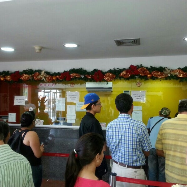 Фламинго автобус. Автобус 239 мурманск кировск. Автобус до фламинго нск. Новые автобусы. Автобусы апатиты мурманск фламинго.