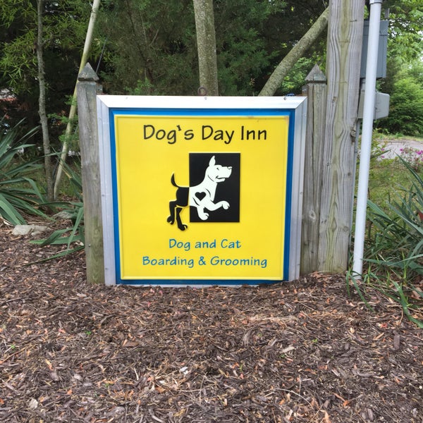 Photos at Dogs Day Inn Midlothian Richmond, VA