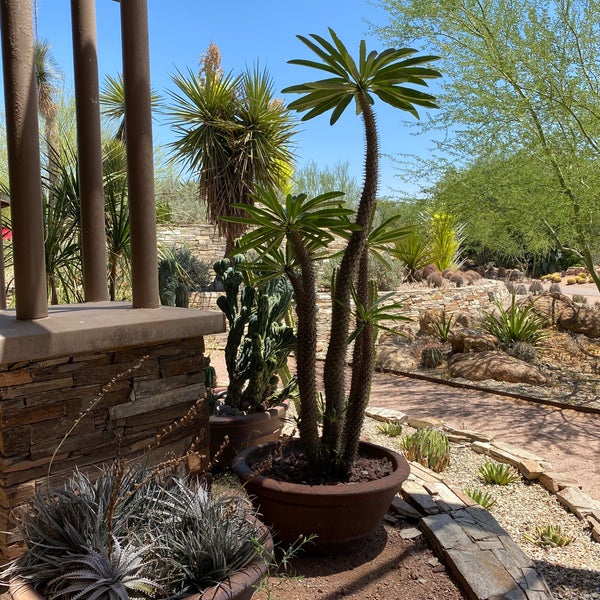 Foto scattata a Desert Botanical Garden da Terri E. il 6/1/2023