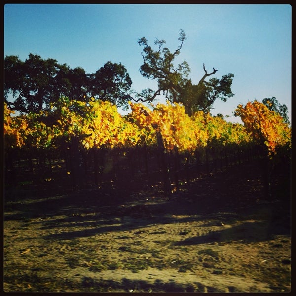 Photo taken at Balletto Vineyards &amp; Winery by clinopstk N. on 11/9/2013