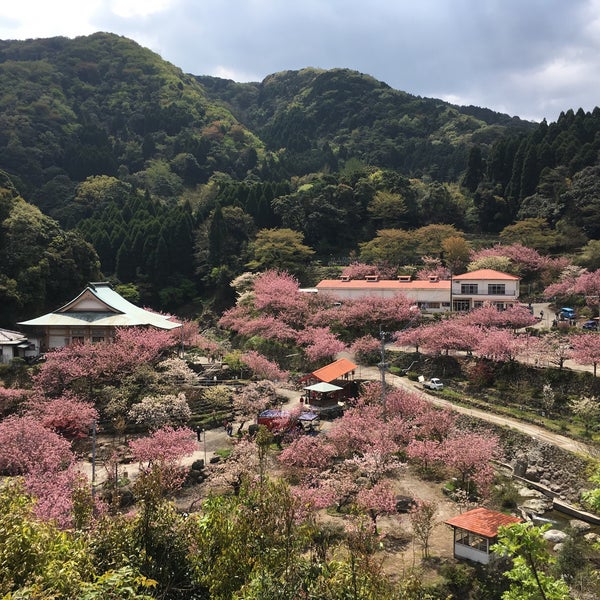 Photos At 一心寺 大分市 大分県 Photos At 一心寺 大分市 大分県