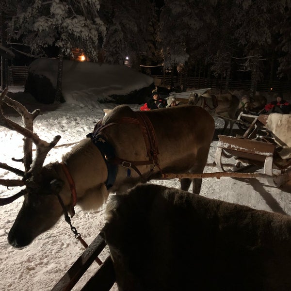 Снимок сделан в Lapland Safaris пользователем Tammy C. 12/13/2018