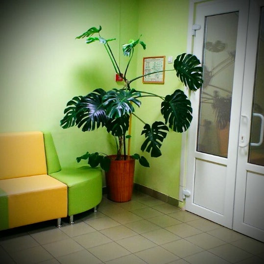 Беговая 7 центр семьи. Приморский центр семьи и детей. Социальная реабилитация детей инвалидов. Медцентры приморского края. Центр семья баннер.