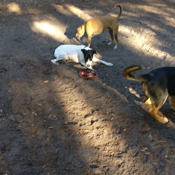 West Orange Dog Park Winter Garden, FL