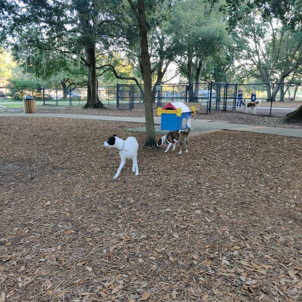 West Orange Dog Park Winter Garden, FL