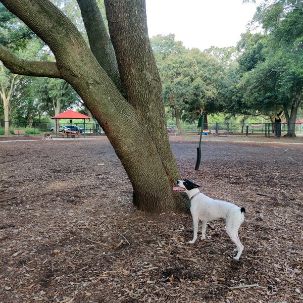 West Orange Dog Park Winter Garden, FL