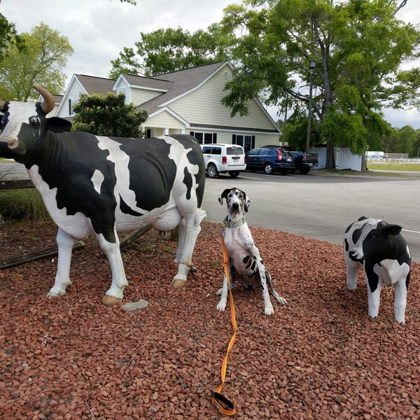 Photo taken at Calabash Creamery by Nicole L. on 4/20/2019