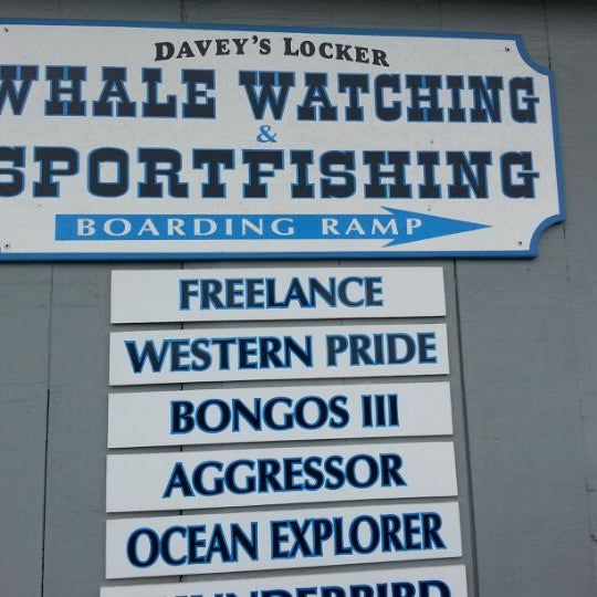 รูปภาพถ่ายที่ Davey&#39;s Locker Sport Fishing &amp; Whale Watching โดย Curt G. เมื่อ 3/31/2013