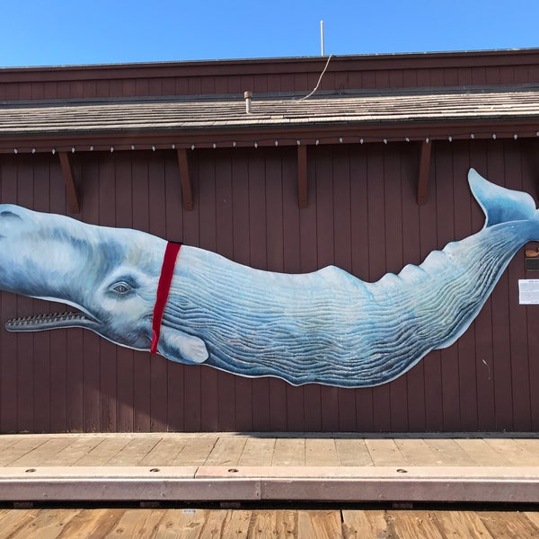 12/25/2018 tarihinde Paulziyaretçi tarafından Moby Dick Restaurant'de çekilen fotoğraf