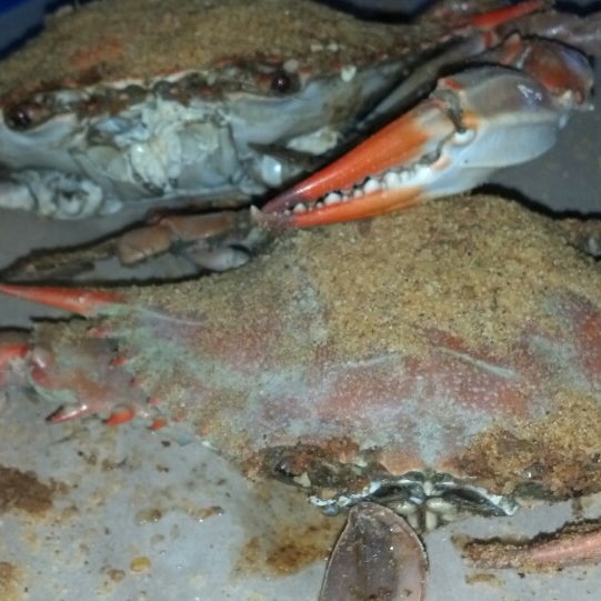 11/14/2013 tarihinde Lisa L.ziyaretçi tarafından Crab Corner Maryland Seafood House'de çekilen fotoğraf
