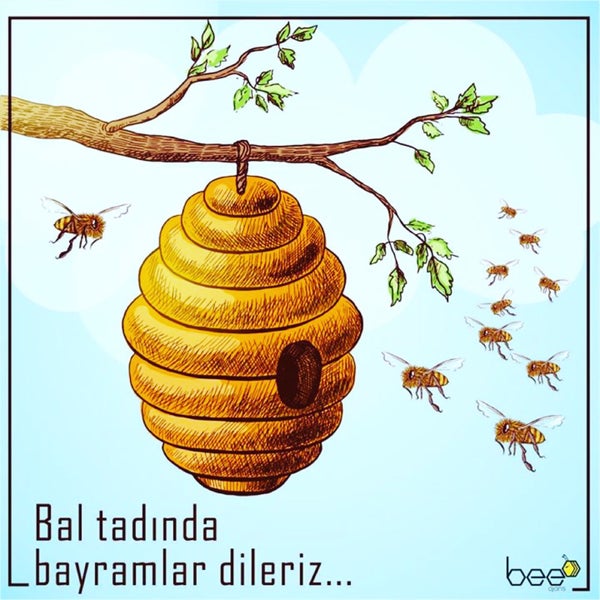 31 çekiyorum o kızı alacam
