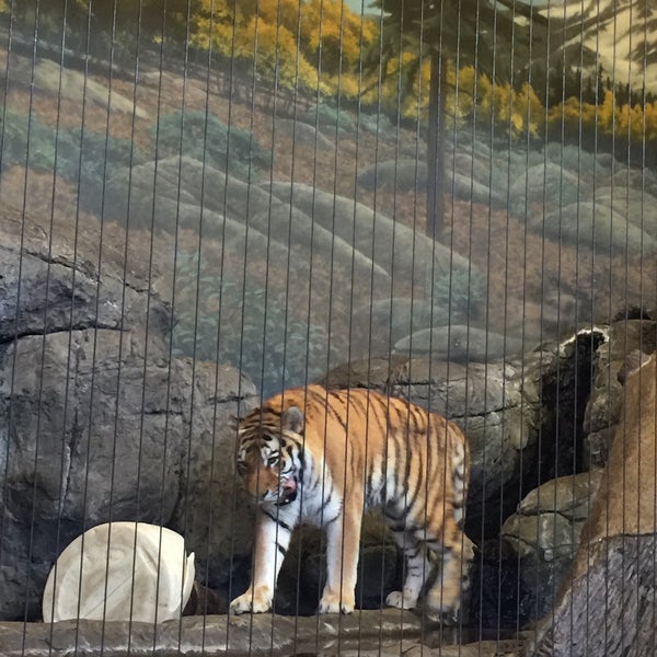 4/17/2016 tarihinde Ernesto V.ziyaretçi tarafından Lincoln Park Zoo'de çekilen fotoğraf