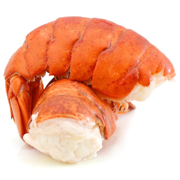 - We offer a great price and selection on #MaineLobsterTails. ?More versatile than live lobster and you can freeze t... http://goo.gl/HPOiEN