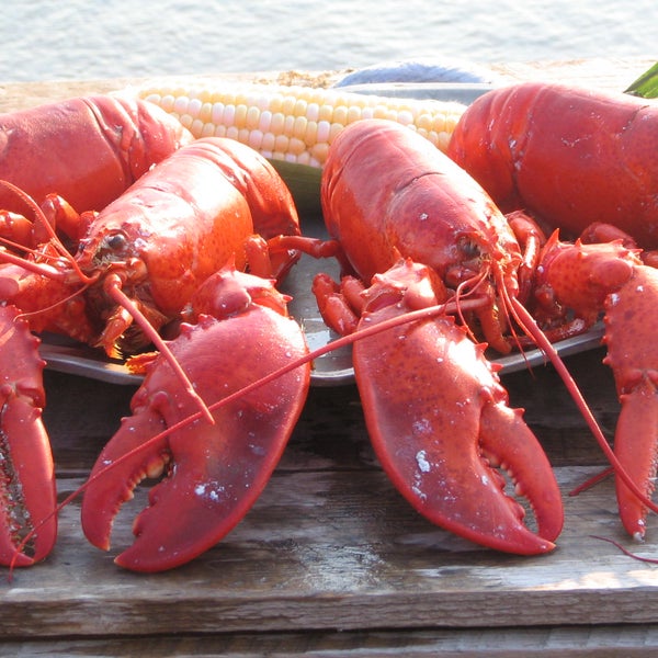 http://goo.gl/yOAhjP?- Did you know that #Lobster is a $300 Million per year industry for #Maine.