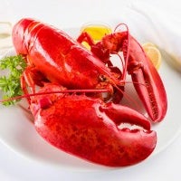 Check out our new blog!! Link attached. Maine Hard Shell Lobsters VS. Soft Shell Lobsters - http://bit.ly/2aOP46b
