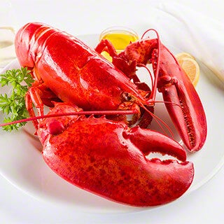 Check out this awesome Maine Lobster Fact Sheet! ?Because if its not from #maine, it's just a lobster. ?http://goo.gl/Y2i7qM
