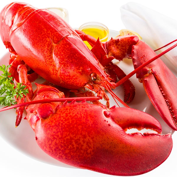2/9/2018에 Maine Lobster Now님이 Maine Lobster Now에서 찍은 사진