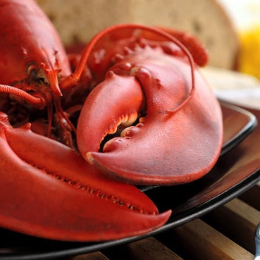 11/29/2013에 Maine Lobster Now님이 Maine Lobster Now에서 찍은 사진