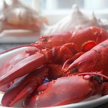 Das Foto wurde bei Maine Lobster Now von Maine Lobster Now am 11/29/2013 aufgenommen