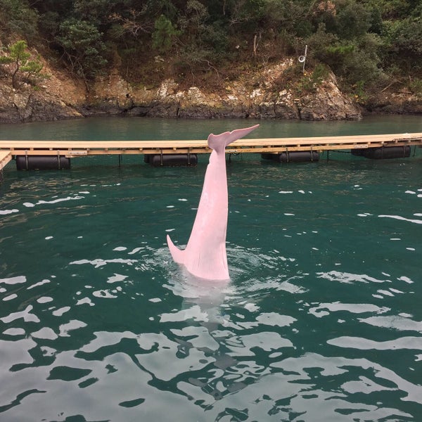 海洋水族館 マリナリュウム Aquarium