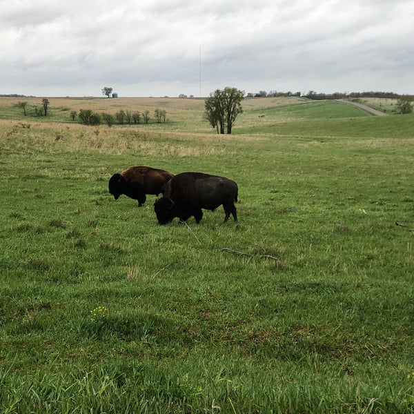 Neal Smith National Wildlife Refuge - 6 tips