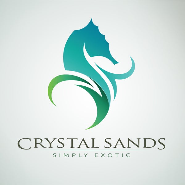 10/3/2013にCrystal Sands Beach HotelがCrystal Sands Beach Hotelで撮った写真