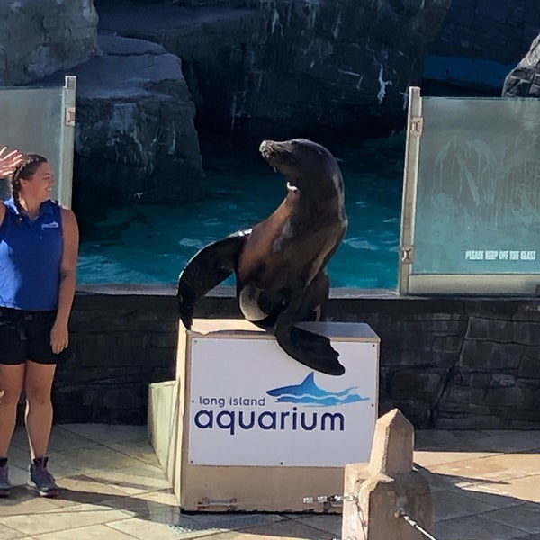 Foto scattata a Long Island Aquarium &amp; Exhibition Center (Atlantis Marine World) da Andy S. il 8/31/2019