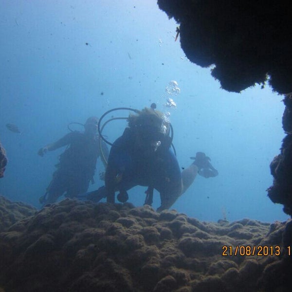 Айя Напа дайвинг центр Olympian Divers
